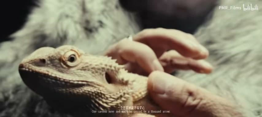 GAI Zhou Yan - Jasmine footage 4