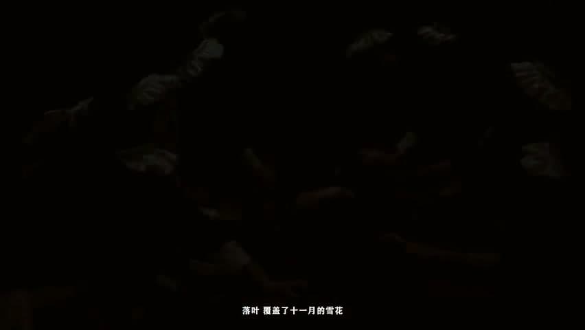 BOBBYNOPEACE《葬礼上的陌生人》 footage 3