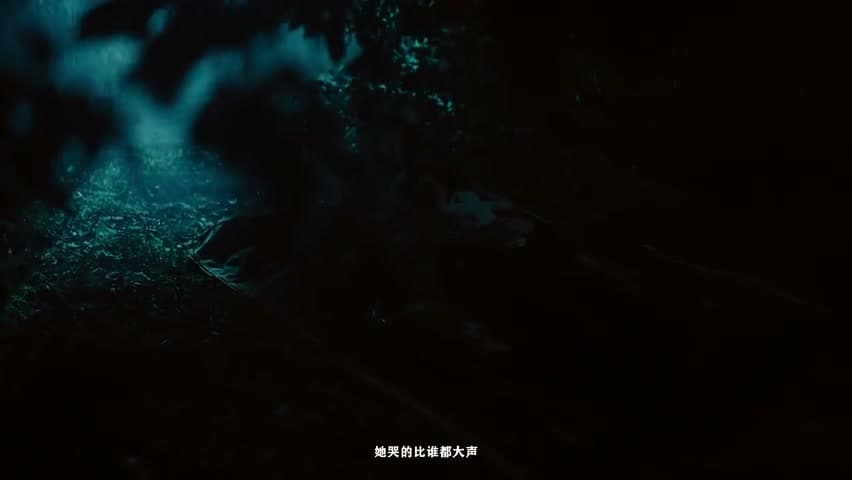 BOBBYNOPEACE《葬礼上的陌生人》 footage 9