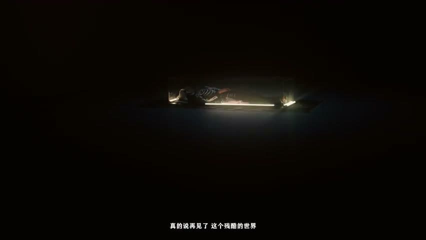 BOBBYNOPEACE《葬礼上的陌生人》 footage 12