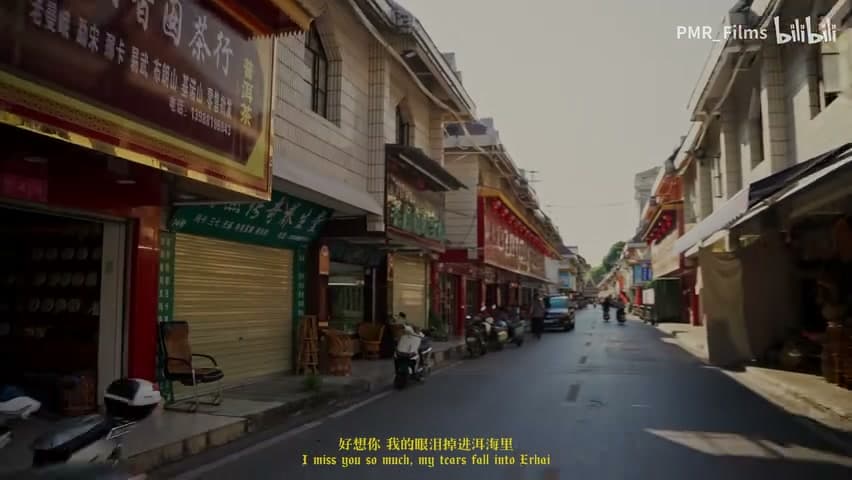 徐真真/火枪《想你的时候会想起大理》 footage 12