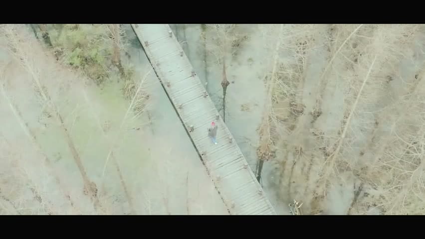 罗言《孤独满月球》 footage 11