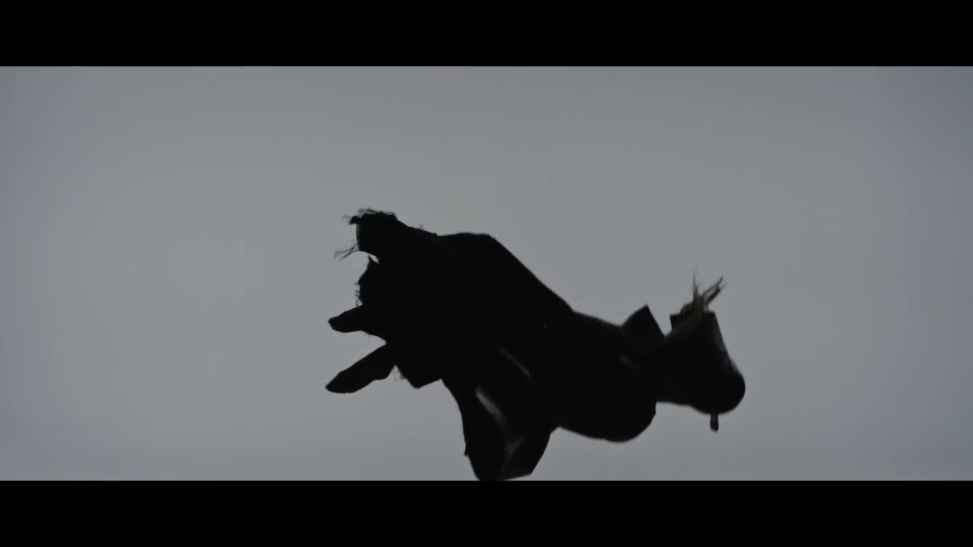 SAOSNAS 成都环球店宣传片 footage 0