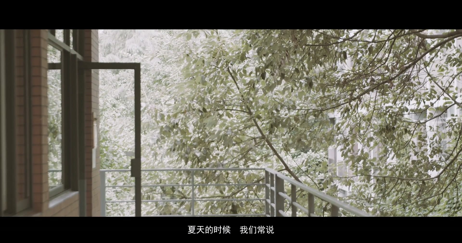 成都市龙泉驿区人民检察院指南针禁毒志愿队宣传片 footage 0