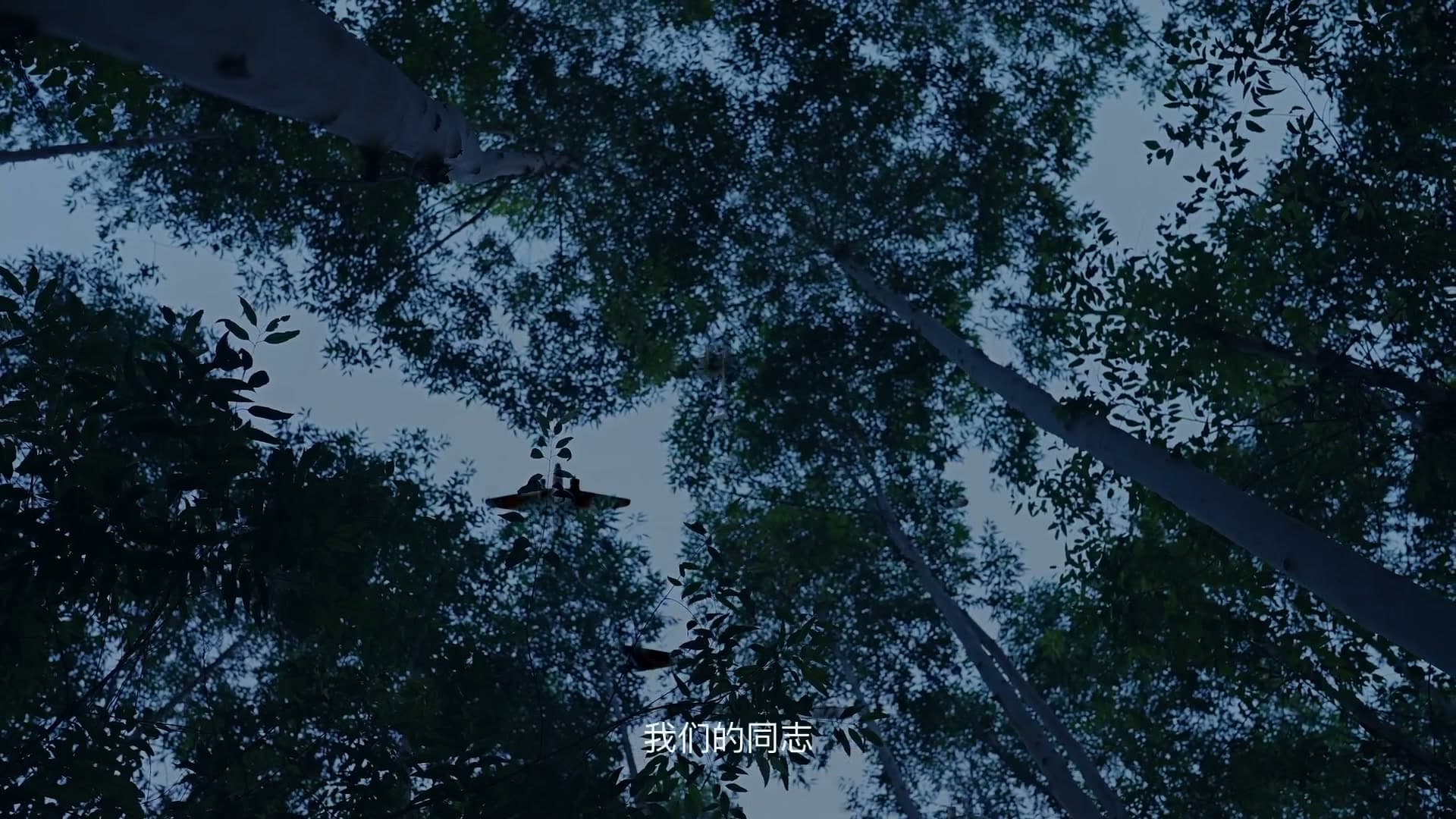 干城科创成立周年 × 致敬先贤 footage 18