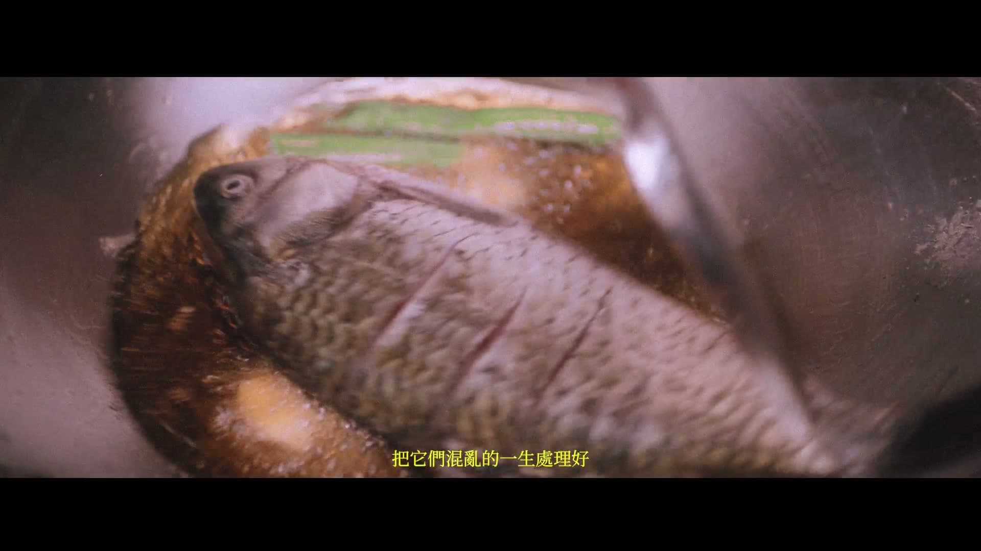 厨房才是宇宙的中心 MV footage 8