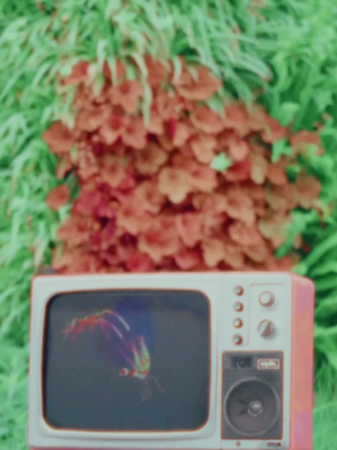 LOVE IS LOVE | 成都SKP"520"(DC) footage 7