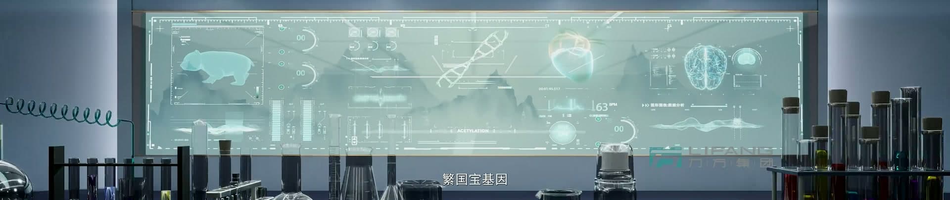 《大熊猫国家公园》-宝兴溯源篇 footage 21