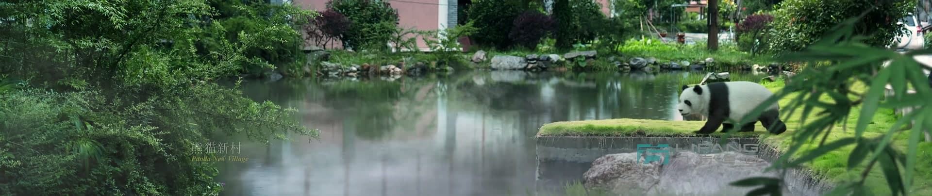 《大熊猫国家公园》-宝兴溯源篇 footage 27