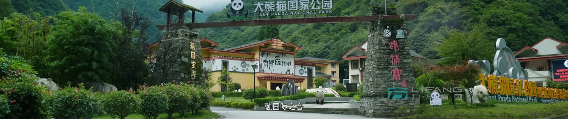 《大熊猫国家公园》-宝兴溯源篇 footage 29