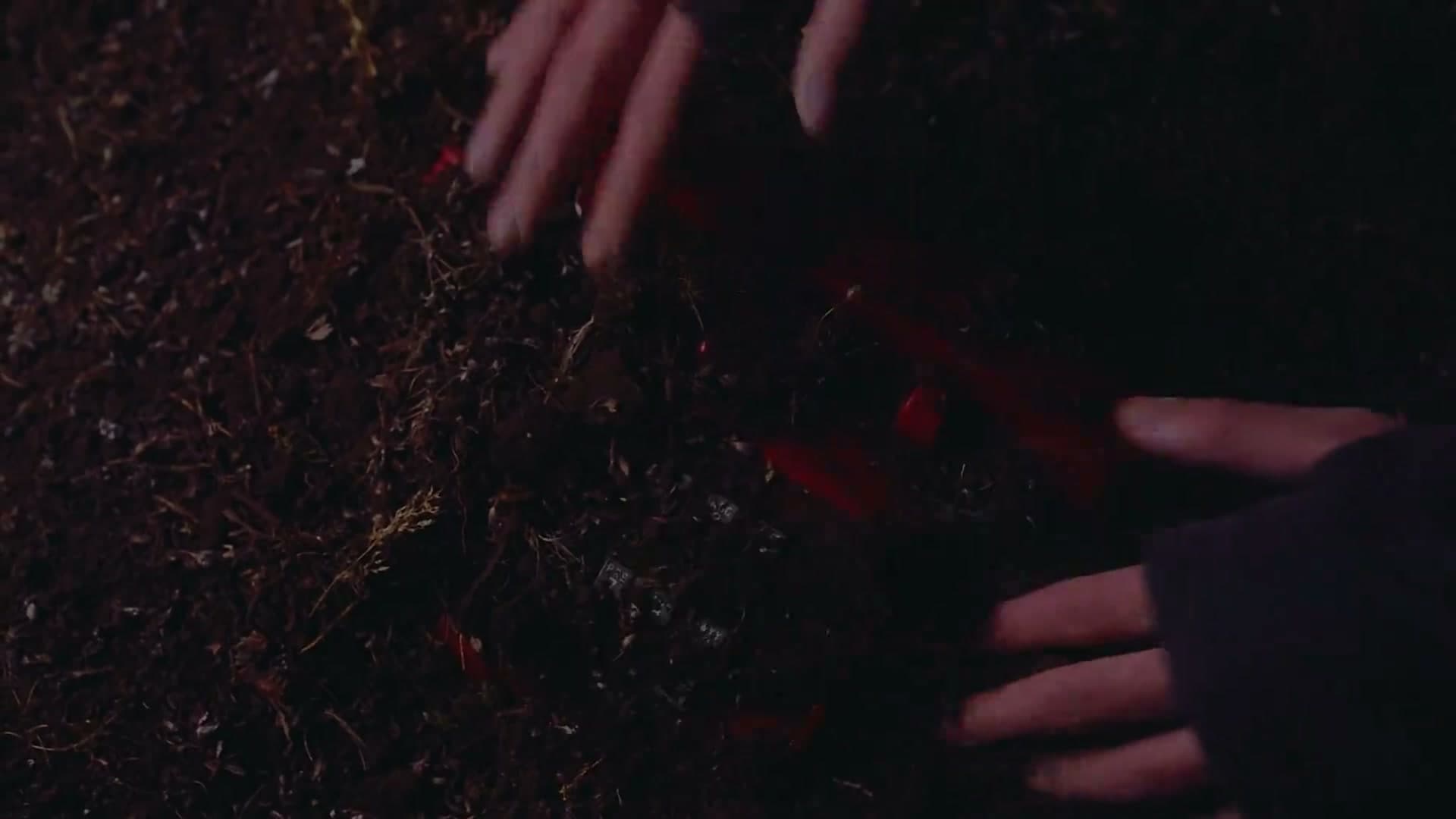 冬天来临的那一刻-Dir cut footage 2