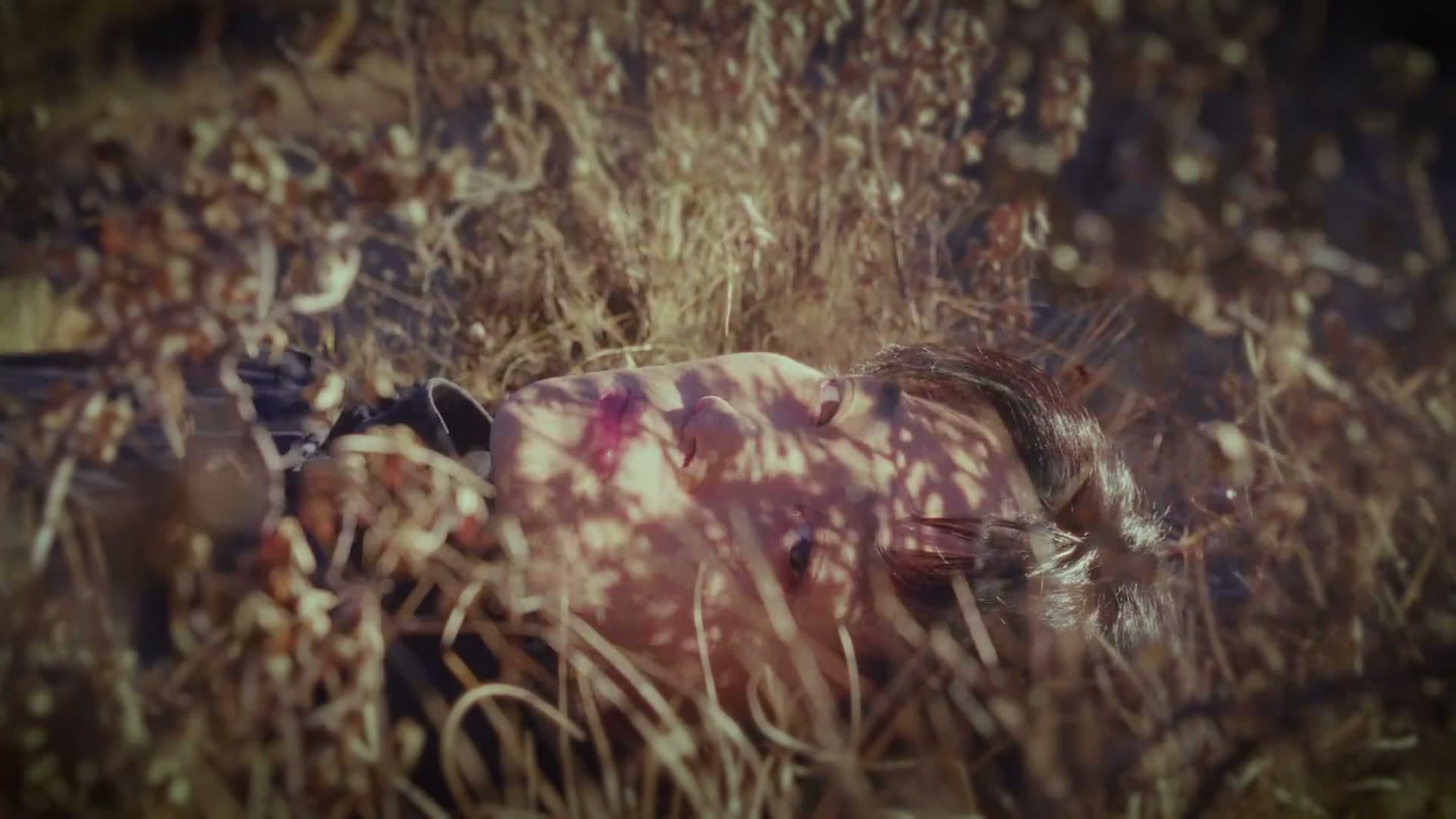 冬天来临的那一刻-Dir cut footage 11