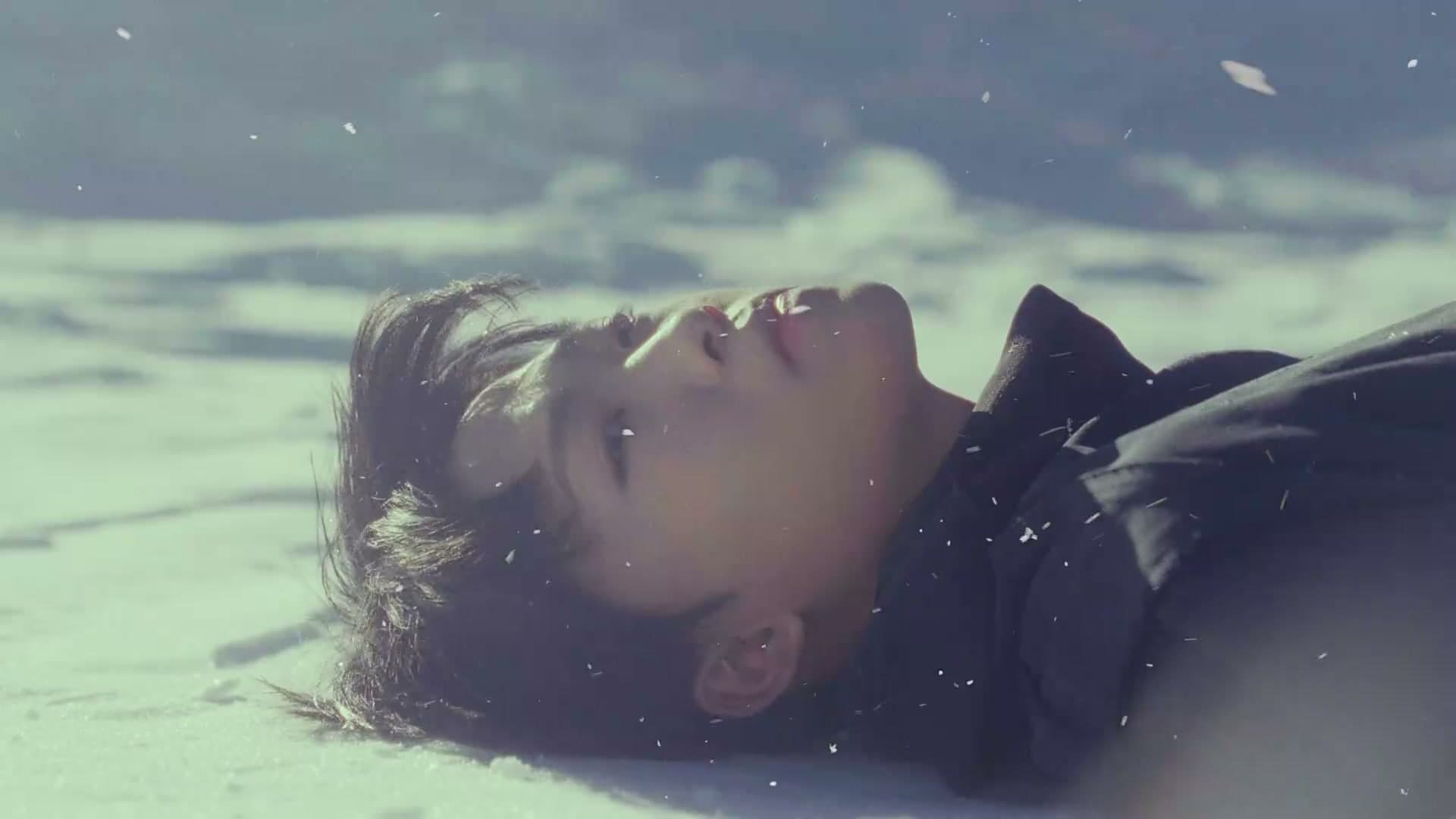 冬天来临的那一刻-Dir cut footage 16