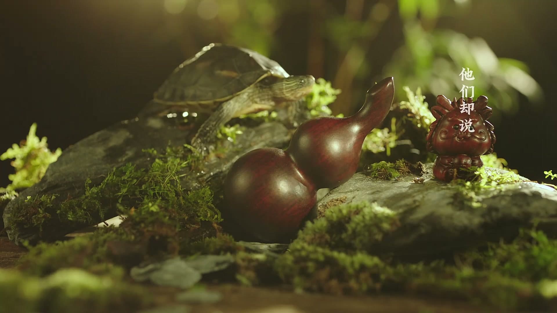 《家书》——每个生命都值得被传颂 footage 12