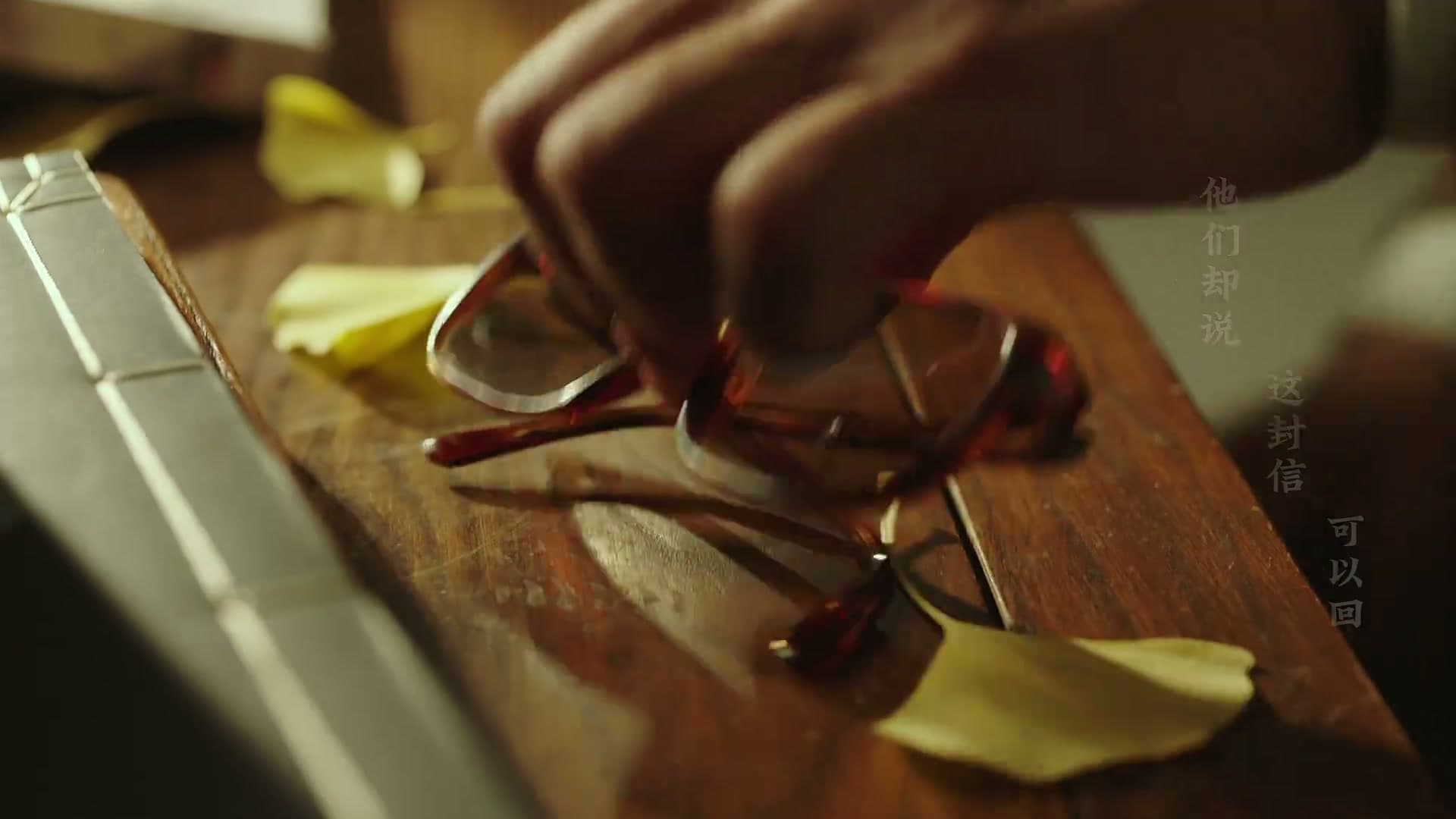 《家书》——每个生命都值得被传颂 footage 13