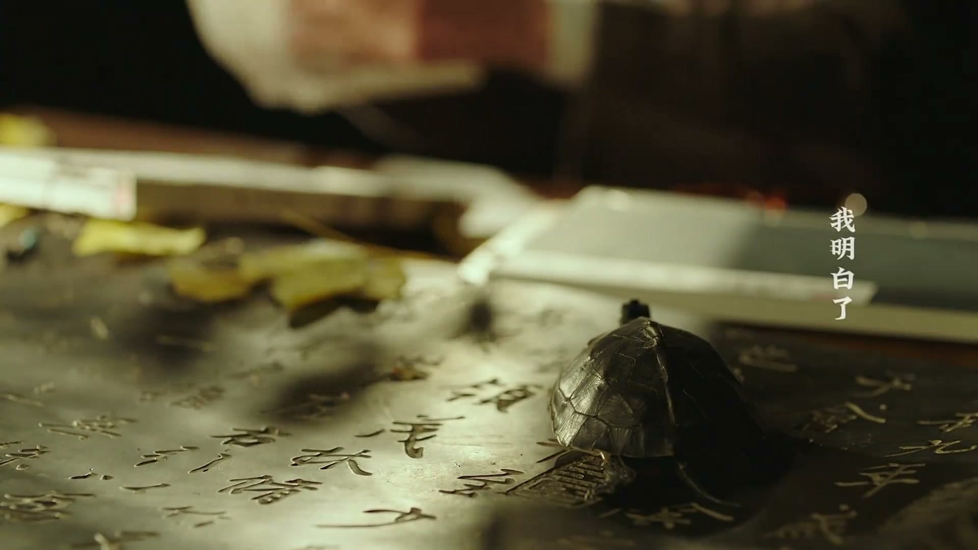 《家书》——每个生命都值得被传颂 footage 19