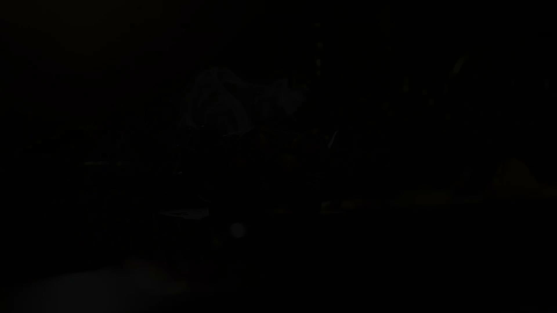 《家书》——每个生命都值得被传颂 footage 24