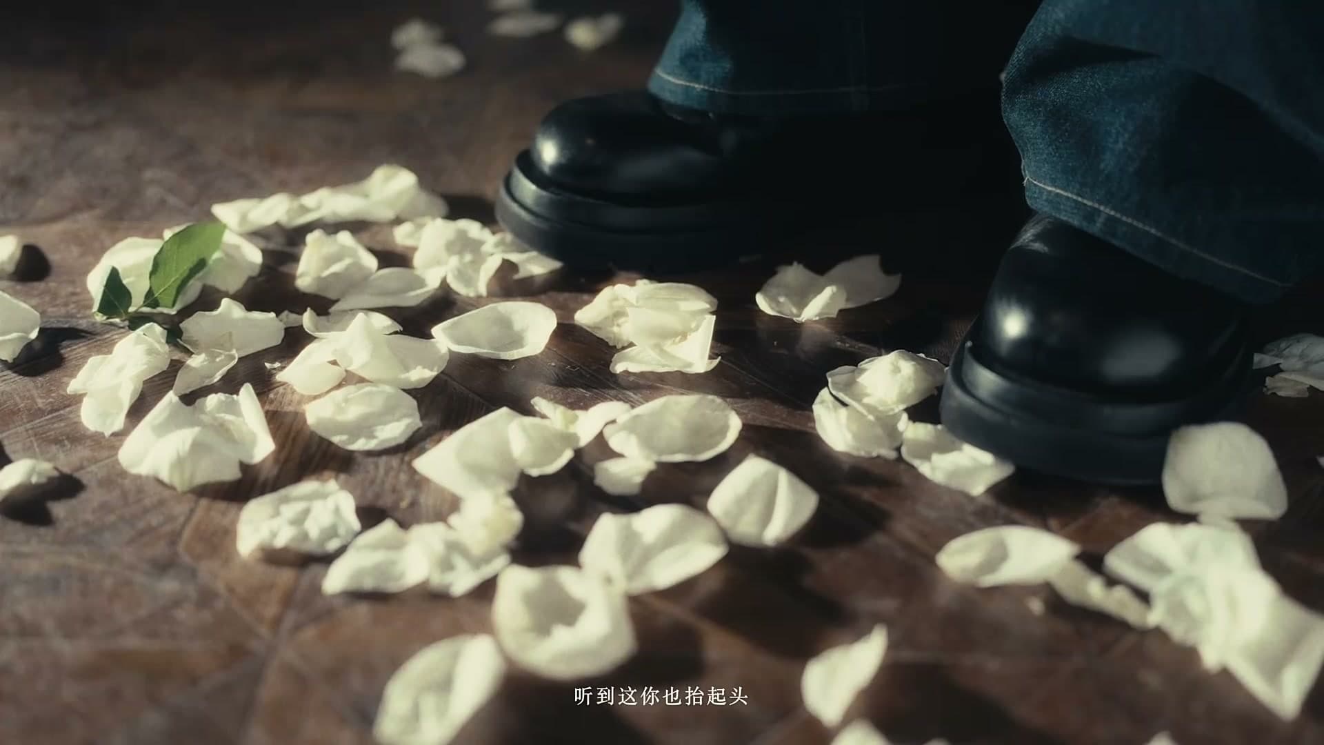 ewonjin-《普通爱人》 Music Video footage 2