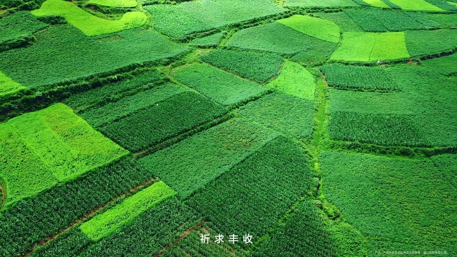 凉山火把节x华为 Pura 80系列 footage 5